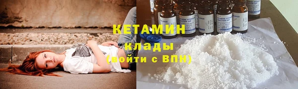 гидра Кодинск