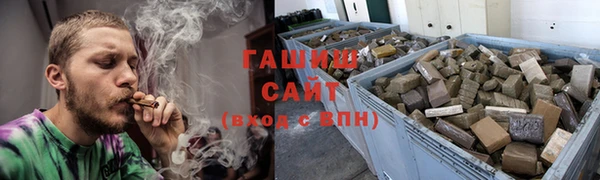 гидра Кодинск