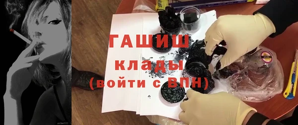 гидра Кодинск