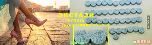 гидра Кодинск