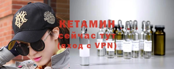 гидра Кодинск