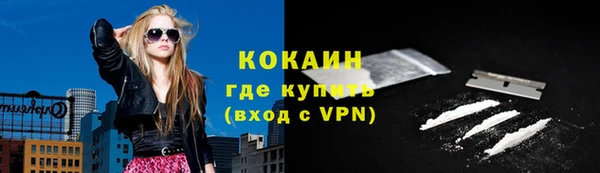 гидра Кодинск