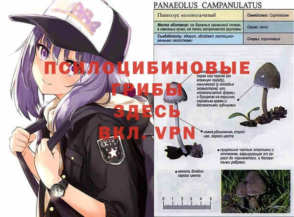 кокаин Козловка