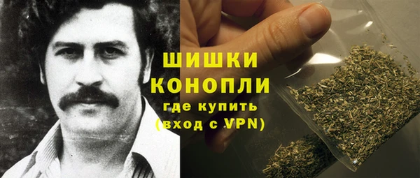 гидра Кодинск
