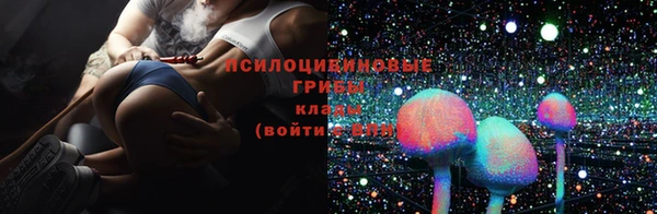 гидра Кодинск