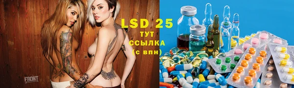 гидра Кодинск