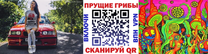 Купить где  Трубчевск  Галлюциногенные грибы мухоморы 